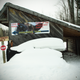 Image for article titled Where the Dogs Are: A Dogsledding Photo Diary